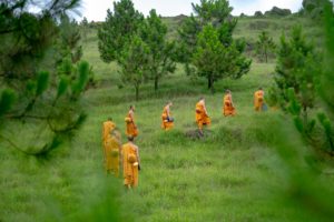 Lire la suite à propos de l’article Qu’est ce un Sangha ?