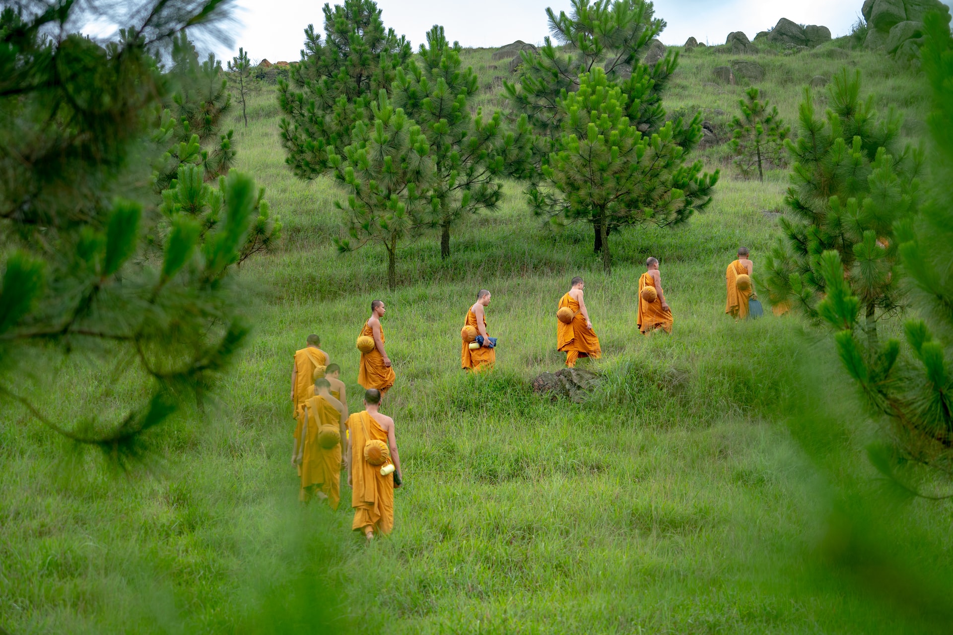 You are currently viewing Qu’est ce un Sangha ?